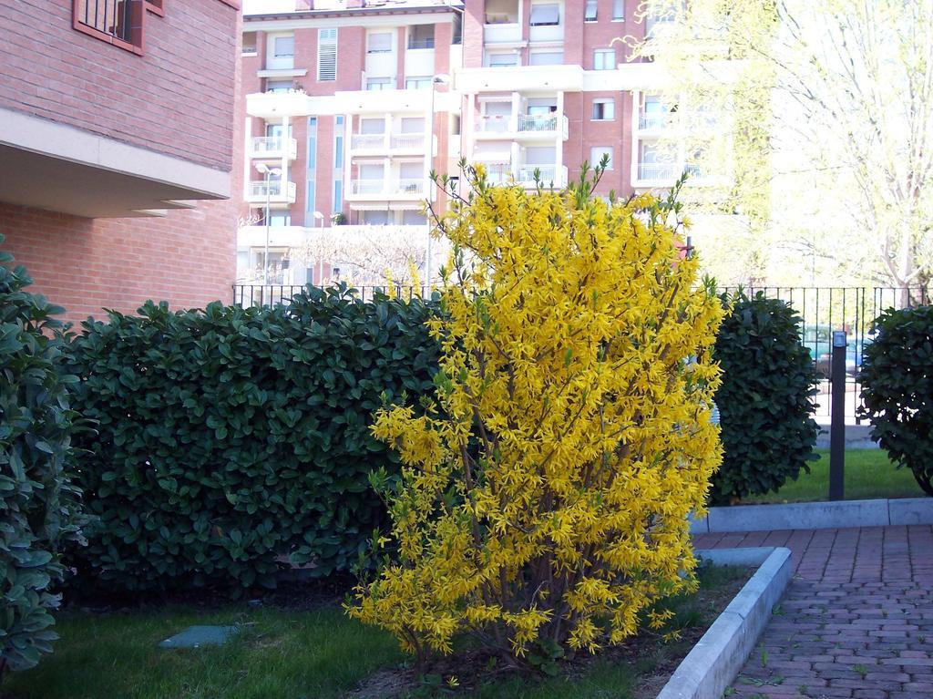 B&B Il Parco Parma Kültér fotó
